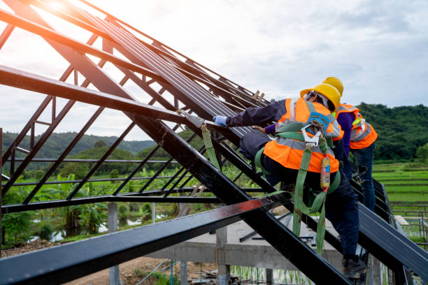 Best Commercial Roofing Services  in Pinckneyvle, IL
