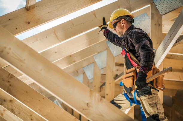 Best Roof Gutter Cleaning  in Pinckneyvle, IL