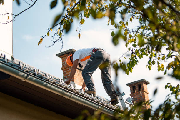 Quick and Trustworthy Emergency Roof Repair Services in Pinckneyville, IL