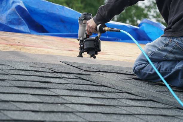 Best Storm Damage Roof Repair  in Pinckneyvle, IL
