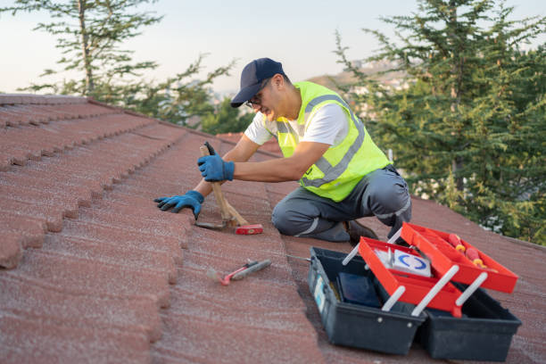 Best Residential Roofing Contractor  in Pinckneyvle, IL