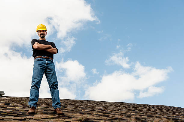 Best Gutter Installation and Roofing  in Pinckneyvle, IL