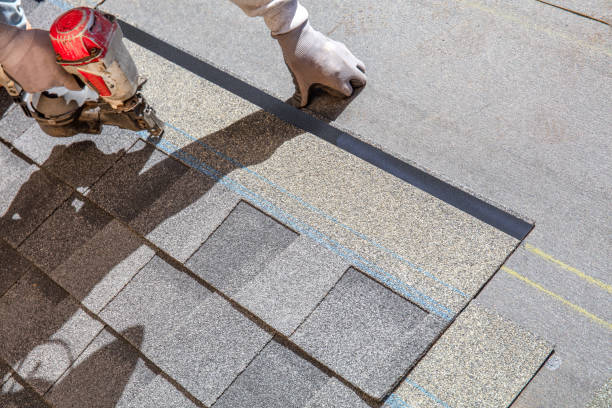 Best Roof Waterproofing Services  in Pinckneyvle, IL